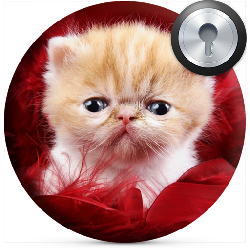 Cute Kitten Lock Screen Descarga en Windows