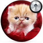 Cover Image of Download Cute Kitten Lock Screen  APK