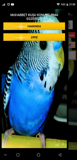 Muhabbet Kuşu Egzersizi Screen 2