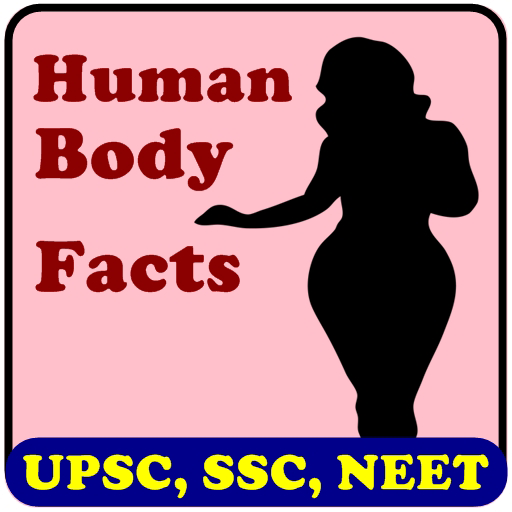 Human body facts science  Icon