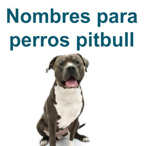 Nombres para perros pitbull logo