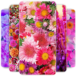 Cover Image of Descargar Fondo de pantalla de flores  APK