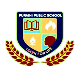 Icon image Puraini Public School, Puraini