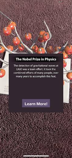LIGO AR Screen 3