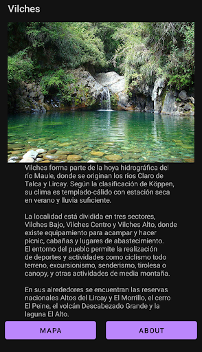 VilchesSuperApp! Screen 2