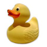 geoquack icon