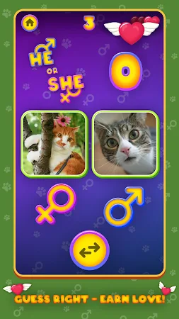 Game screenshot He or She: Cute Pet Quiz Game hack