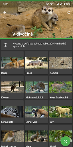 Co je to za zvíře Screen 2