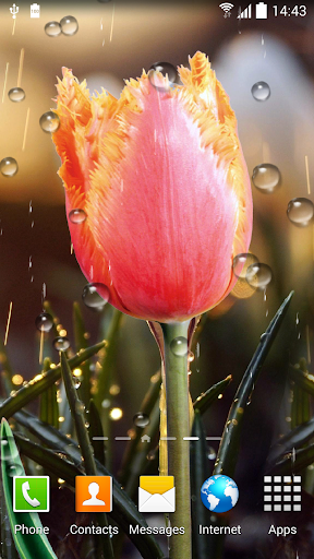 تطبيق Spring Flower Live Wallpaper برو5