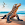 Komodo Dragon : Dragon Games