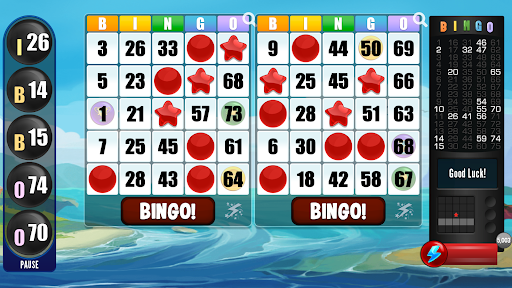 Mega Bingo screenshot 3