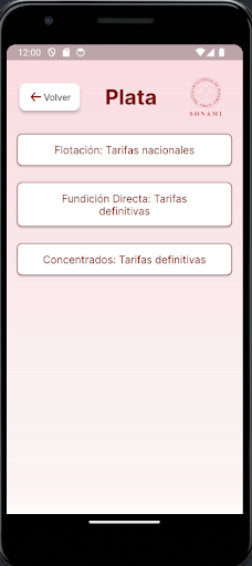 Tarifa ENAMI Screen 2