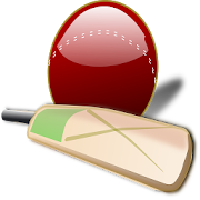 Hit Cricket - World Fastest Cricket Match Game