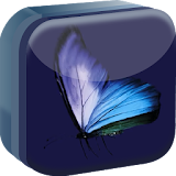 Blue Butterfly Live Wallpaper icon