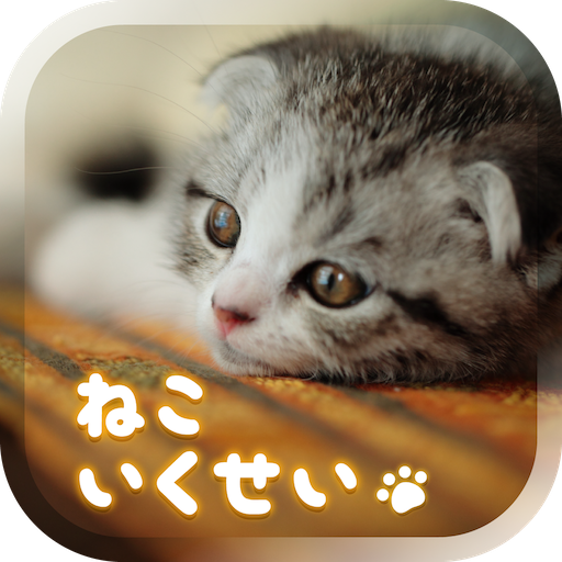 Cat Simulation Game 3D  Icon