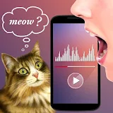 Translator for Cats Prank icon