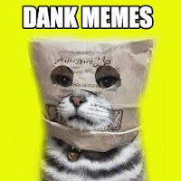 DANK MEMES