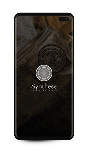 SYNTHESE ATELIER Screen 2