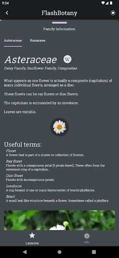 FlashBotany Screen 3