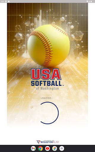 USA Softball of WA