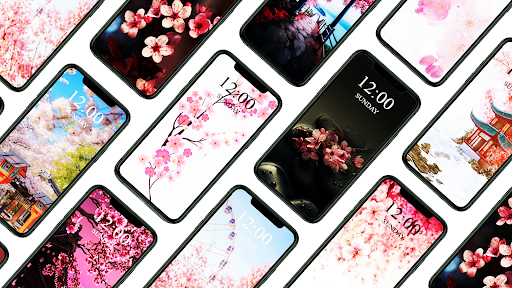 Sakura Wallpapers 2024 Screen 2