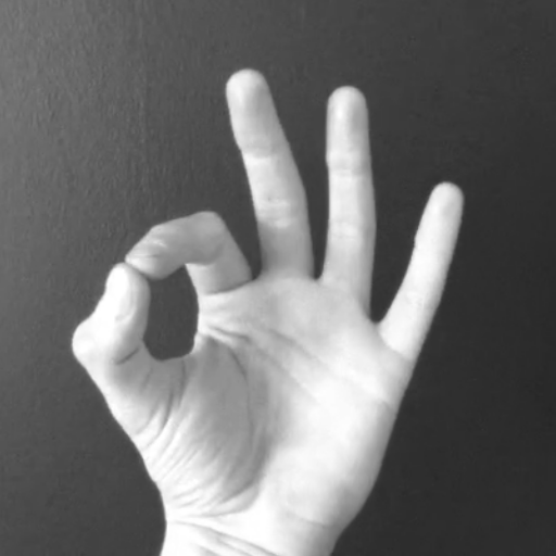Hand Exercises Stroke Recovery logo