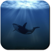 Top 16 Lifestyle Apps Like Whale Wallpapers - Best Alternatives