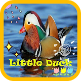 Little Duck wallpaper icon