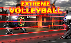screenshot of Extreme Volleyball