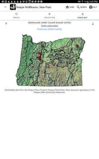 Screenshot of Oregon Wildflowers