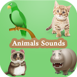 Animal Sounds for Babies icon