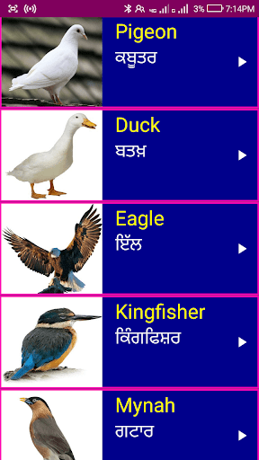 Learn English From Punjabi Screen 3