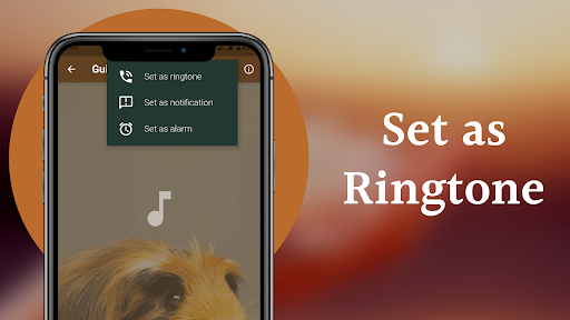 Guinea Pig Sounds Screenshot 4 - AppWisp.com