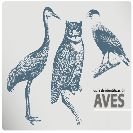 Guia de Aves logo