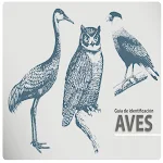 Cover Image of Télécharger Guia de Identificacion de Aves  APK