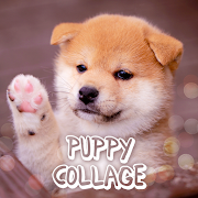 Top 49 Personalization Apps Like Cute Wallpaper Puppy Collage Theme - Best Alternatives