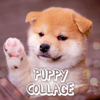 Puppy Collage Theme