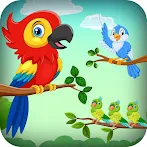 Bird Sort - Color Puzzle Games