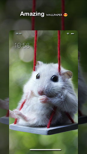 Hamster Wallpaper – HD Wallpaper
