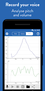 Voice Analyst 1