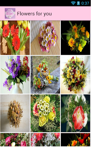 Flowers for you Screen 2