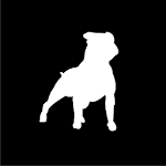 Cover Image of ダウンロード 犬に注意してください 1.7.3 APK