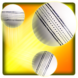 Swipe Cricket icon