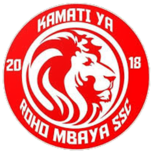 simba fansWekundu wa msimbazi