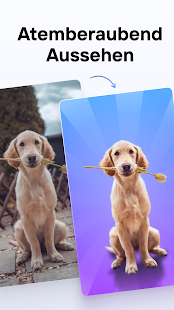 Photoroom AI Photo Editor Screenshot