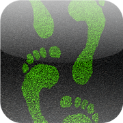 Green Steps  Icon