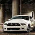 Free Download Full Hd Mustang Car Wallpaper Images