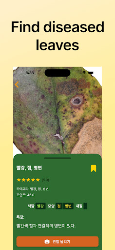 Android application Leaf Exploration screenshort