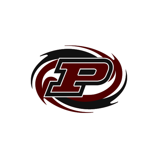 Palestine Wildcat Nation Download on Windows