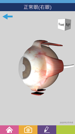 千寿製薬株式会社　3D眼球模型 Screenshot 3 - AppWisp.com
